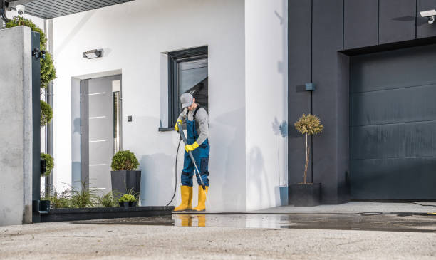 Best Gutter Cleaning  in St Anne, IL